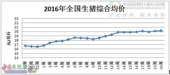 2016年全國(guó)生豬綜合均價(jià).jpg